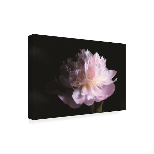 Philippe Sainte Laudy 'Perfume Peony' Canvas Art,16x24